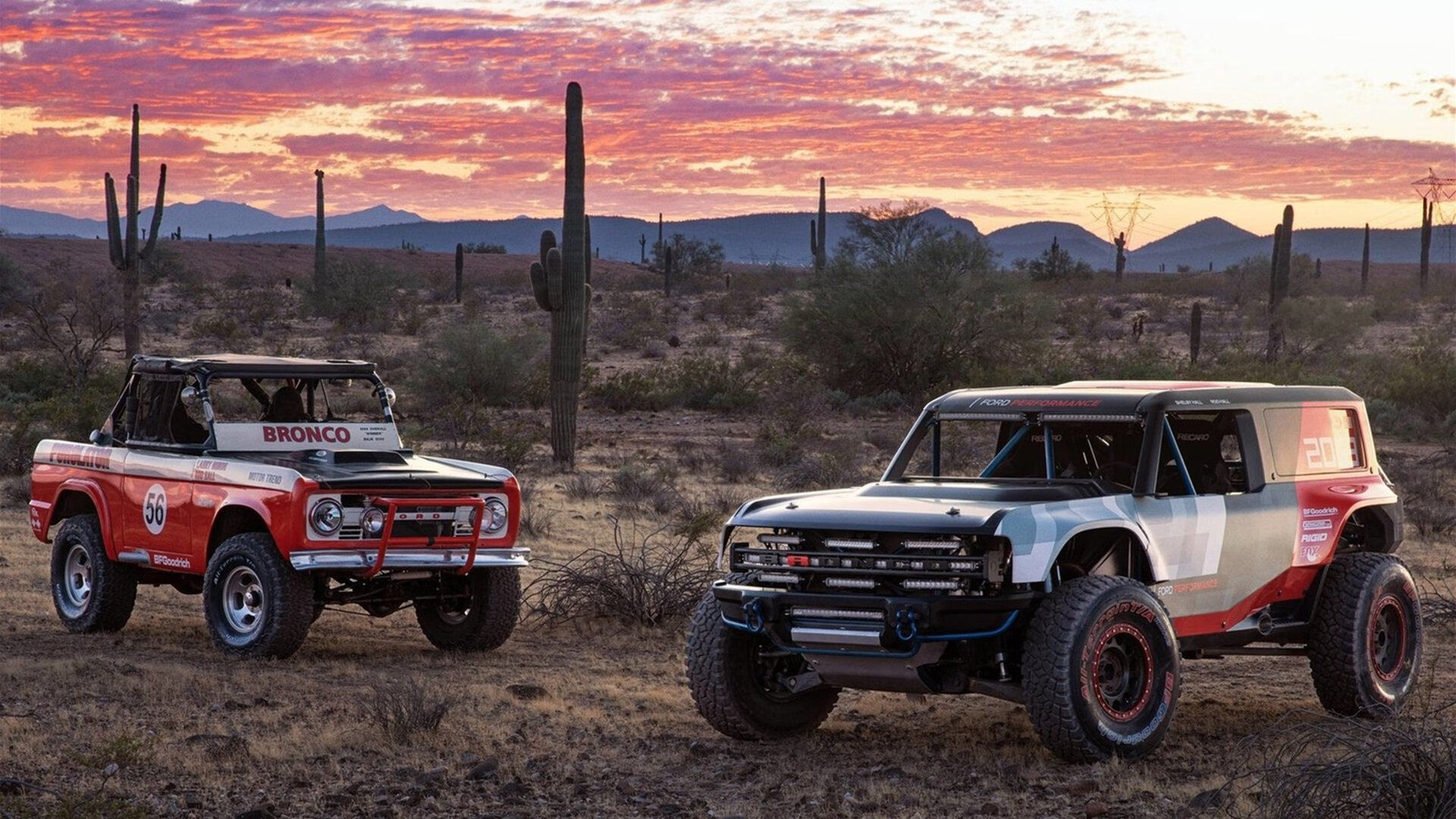 天空跳伞表演,飞越云端感受自由体验,空中跳伞的视频